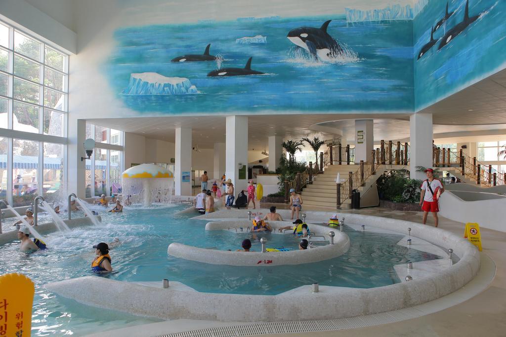 Yongpyong Resort Villa Condominium Pyeongchang Ngoại thất bức ảnh